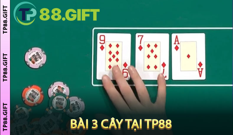 Bài 3 Cây